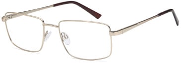 SFE-10454 glasses in Gold