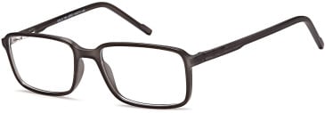 SFE-10468 glasses in Grey