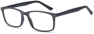 SFE-10471 glasses in Grey