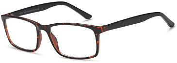 SFE-10472 glasses in Havana