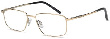 Sakuru SAK1004T glasses in Gold