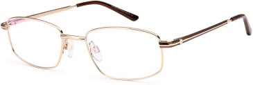 Sakuru SAK1011T glasses in Gold Brown