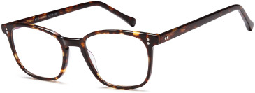 SFE-10694 glasses in Havana