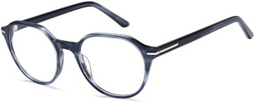 SFE-10716 glasses in Grey