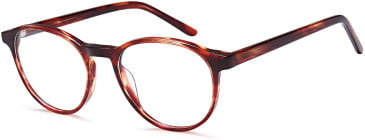 SFE-10792 glasses in Havana