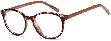 SFE-10819 glasses in Brown