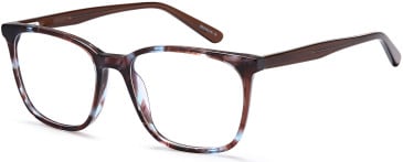 SFE-10718 glasses in Brown/Blue