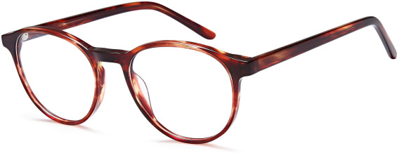 SFE-10792 glasses in Havana