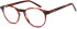 SFE-10792 glasses in Havana