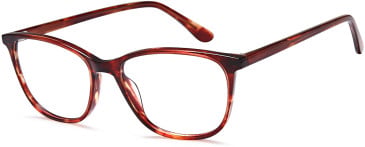 SFE-10799 glasses in Havana