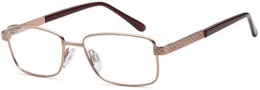 SFE-10809 glasses in Bronze