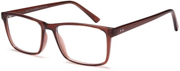 Reading Glasses in Brown