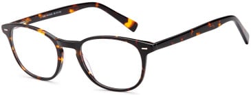SFE-9508 glasses in Havana 