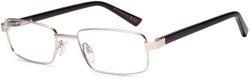 SFE-10993 glasses in Gold