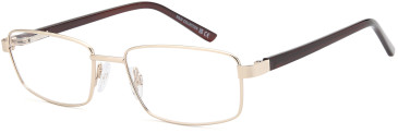 SFE-10995 glasses in Gold
