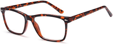 SFE-11007 glasses in Havana
