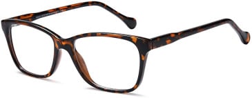 SFE-11010 glasses in Havana