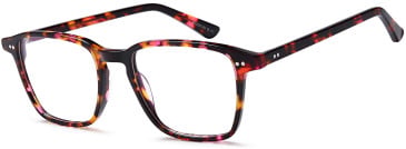 SFE-10947 glasses in Havana