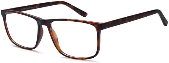SFE-11000 glasses in Havana