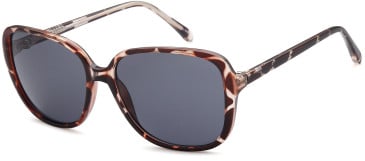 SFE-10850 sunglasses in Havana