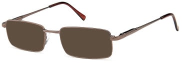 SFE 0120 sunglasses in bronze (92238)