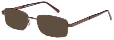 SFE Sunglasses in Bronze