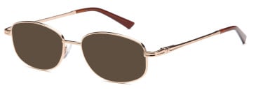 SFE reading sunglasses in Gold (30023)