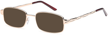 SFE reading sunglasses in Gold (30025)
