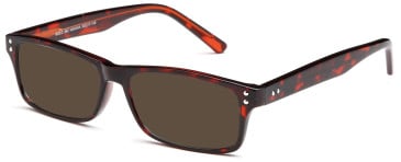 SFE Plastic Ready-Made Reading Sunglasses