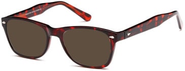 SFE reading sunglasses in Havana (30076)
