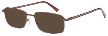 SFE reading sunglasses in Bronze (30101)