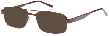 SFE reading sunglasses in Bronze (30107)