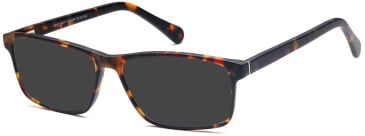 SFE Plastic Ready-made Reading Sunglasses