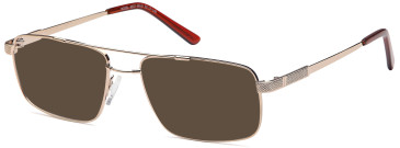 SFE-9559 sunglasses in Gold (93786)