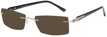 SFE-9571 sunglasses in Gold (93817)