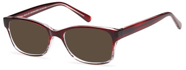 SFE Plastic Ready-made Reading Sunglasses