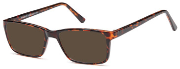 SFE Plastic Ready-made Reading Sunglasses