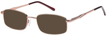 SFE-9619 sunglasses in Brown (93923)