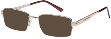 SFE Metal Ready-made Reading Sunglasses