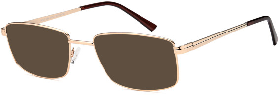 SFE-10455 sunglasses in Gold (135464)