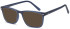 SFE-10464 sunglasses in Blue (135488)