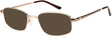 Sakuru SAK1011T sunglasses in Gold Brown (253347)