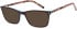 SFE-10717 sunglasses in Brown (254177)
