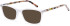 SFE-10717 sunglasses in Matt Crystal (254176)