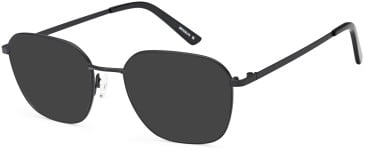 SFE-10731 sunglasses in Black (254138)