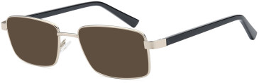 SFE-10997 sunglasses in Silver (307081)