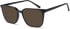 SFE-11006 sunglasses in Black (307057)