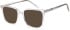 SFE-11006 sunglasses in Crystal (307056)