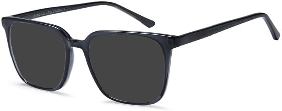 SFE-11006 sunglasses in Grey (307055)