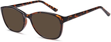 SFE-11011 sunglasses in Havana (307043)